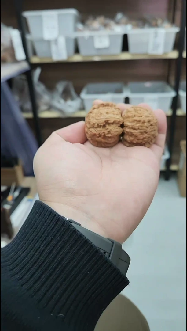 把件核桃福利单【白狮子】以打底#4010987