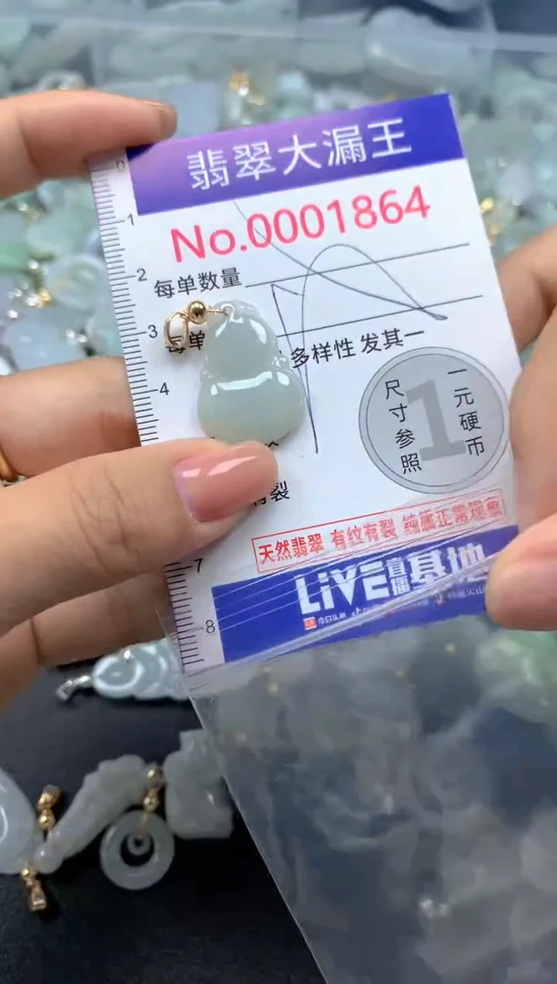 颈饰未镶嵌翡翠1864