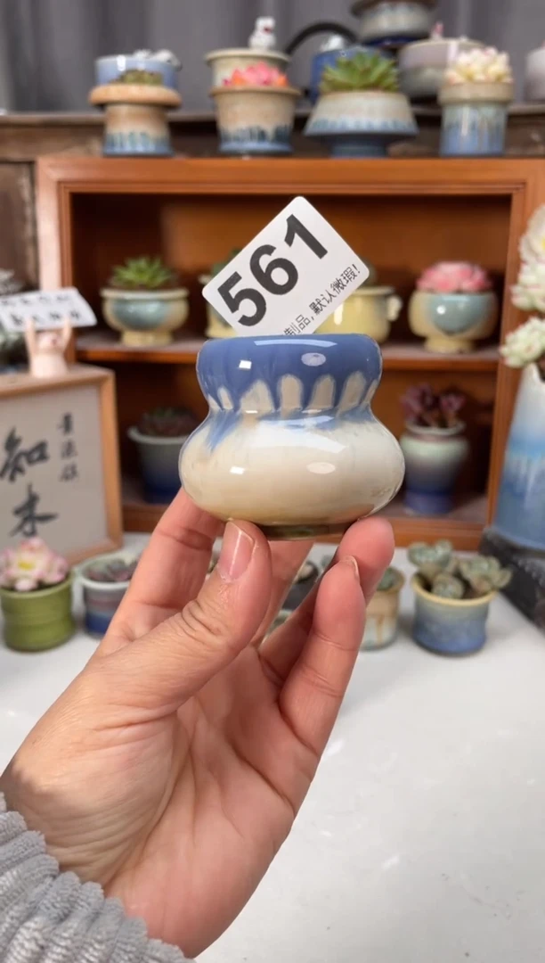 瓷片561小芳直播编号