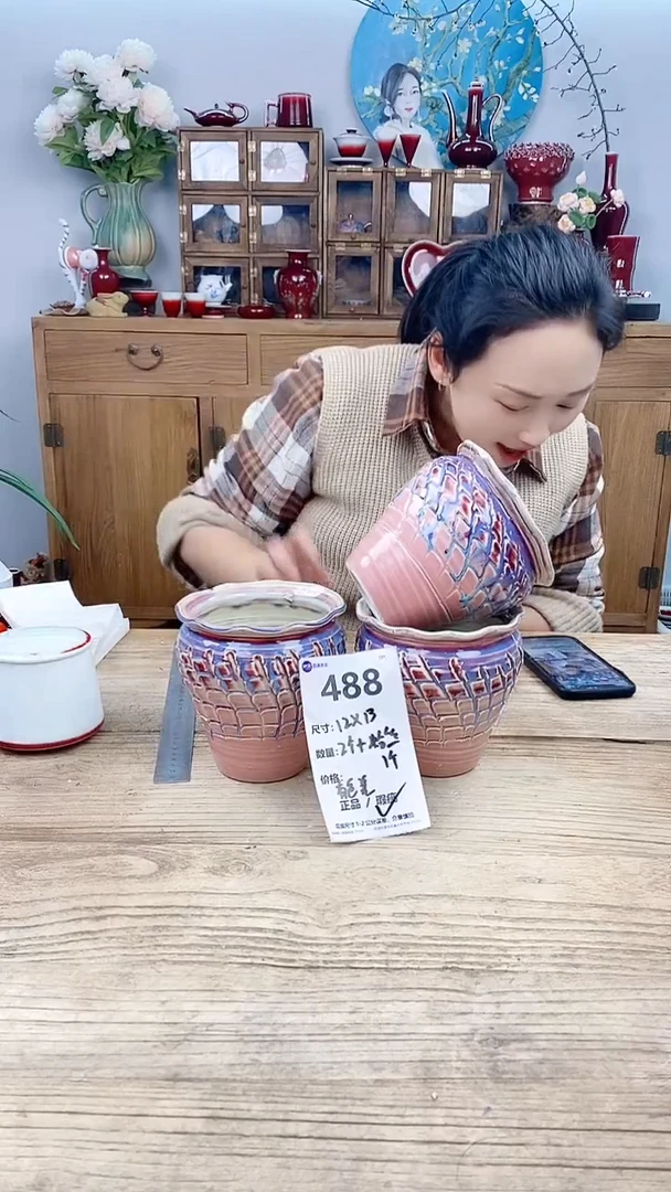 【闪购商品】红陶488