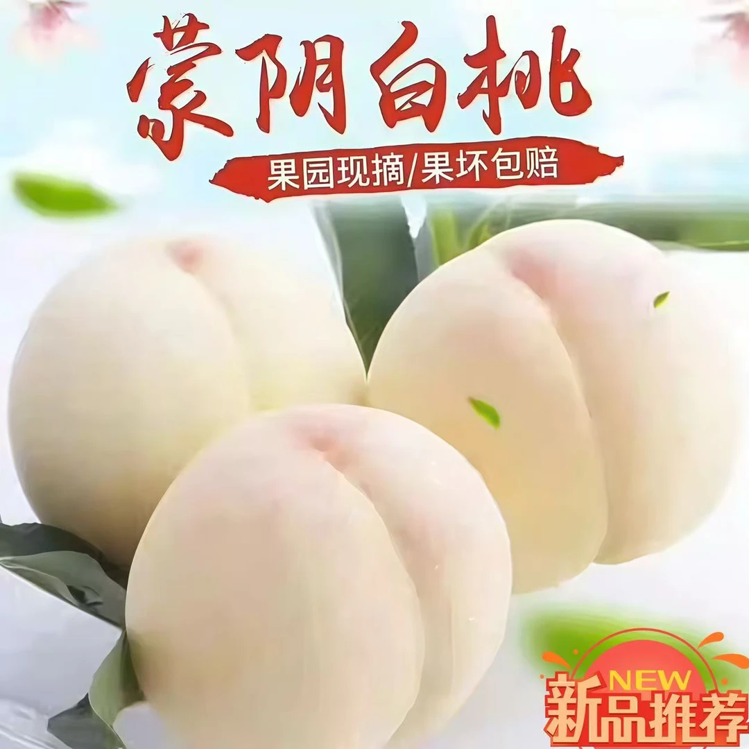 现摘现发新鲜奶油白玉脆桃临沂山东毛桃孕妇水果多汁白如玉大白桃