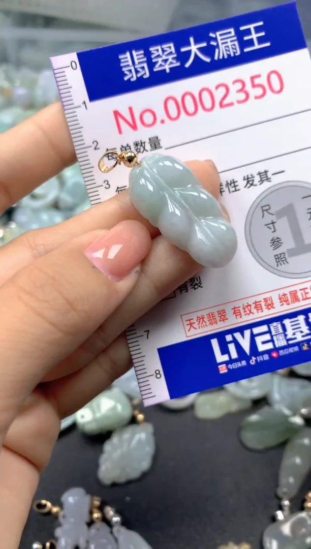 颈饰未镶嵌翡翠2350