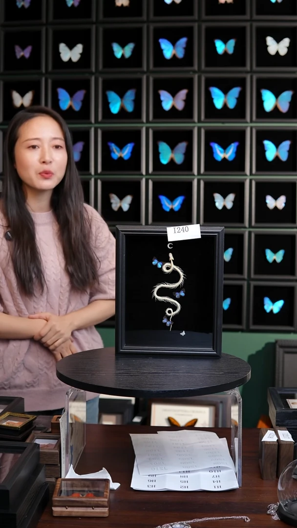 蝴蝶标本摆件竞拍I1240