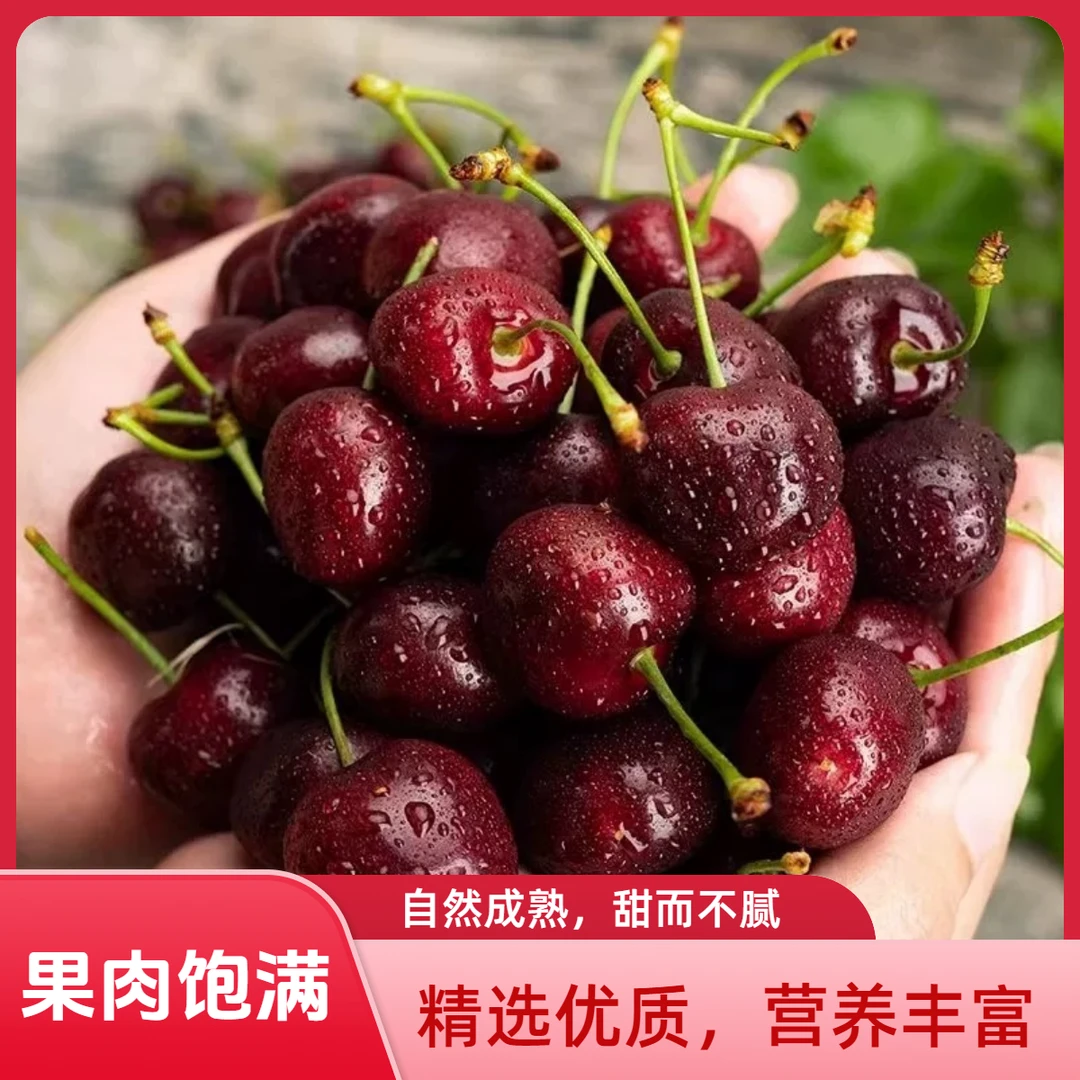 【酸甜可口】单J车厘子5斤