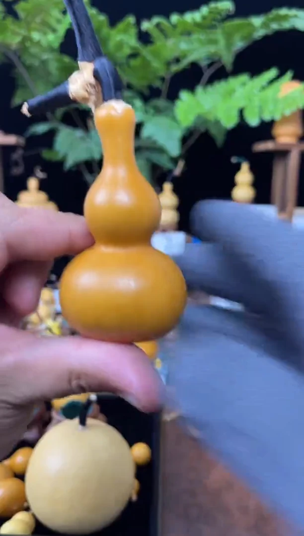 王*雷精品老皮八宝葫芦