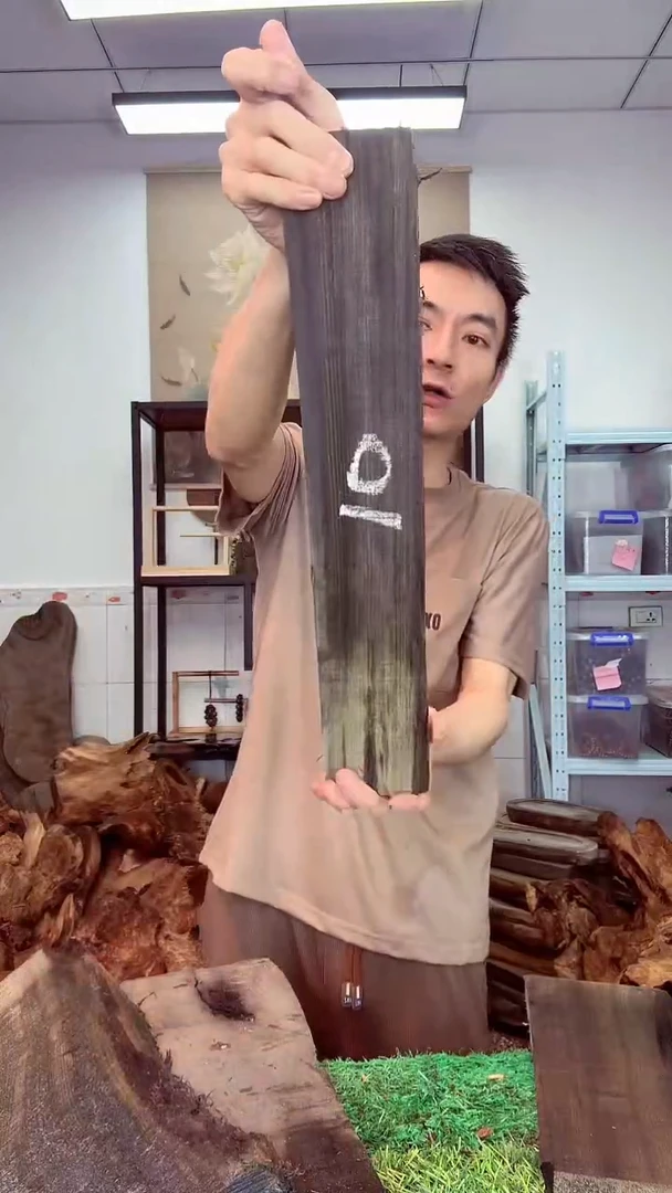 金丝楠小叶桢楠353