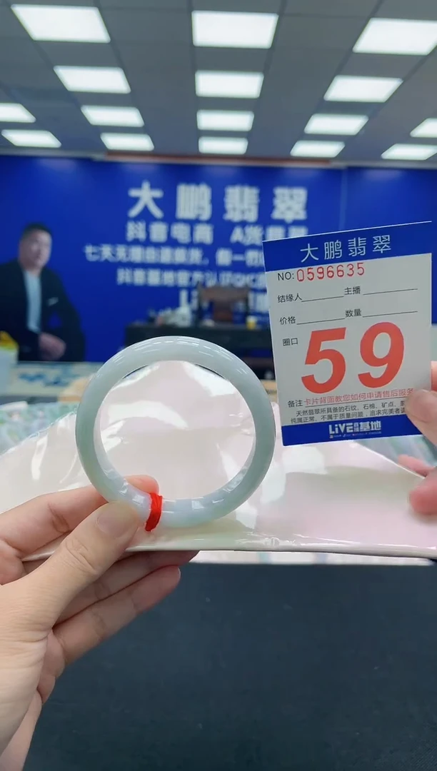 未镶嵌手镯翡翠AAAAAAAAA