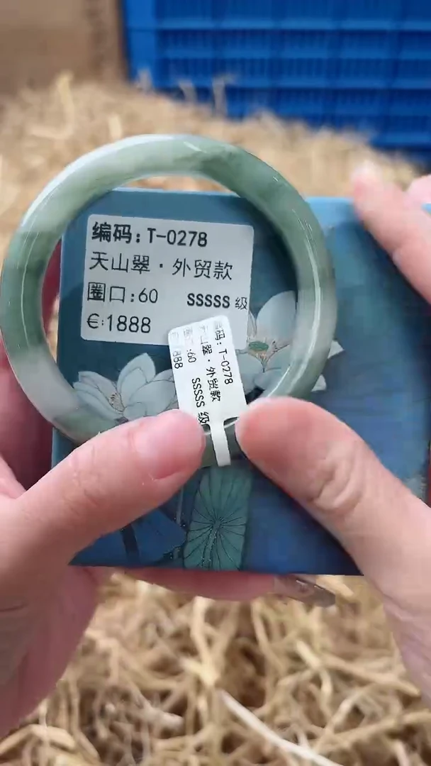 未镶嵌手镯石英质玉T-0278