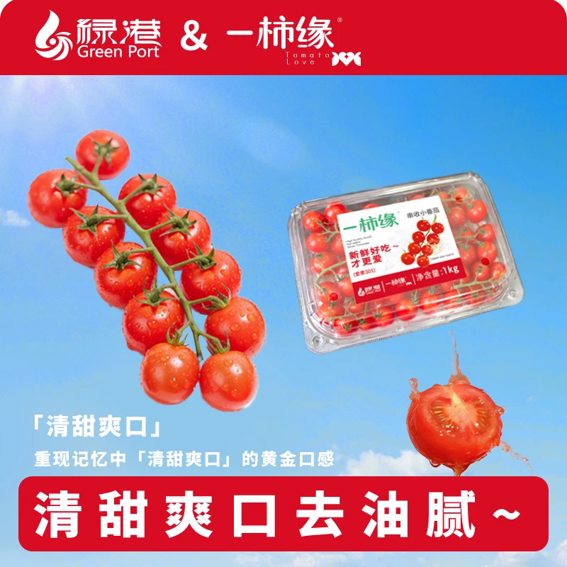 一柿缘两斤串收樱桃小番茄酸甜多汁一口爆浆自然成熟水果车厘串茄