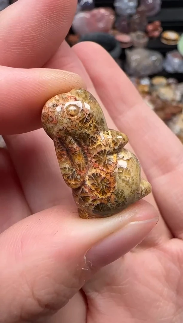 颈饰未镶嵌硅化珊瑚（珊瑚玉）265