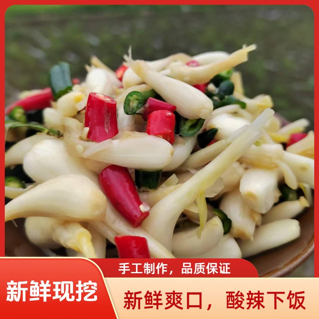 新品尖椒藠头贵州农家自产新鲜藠头（发酵期涨瓶偶有漏液 ）