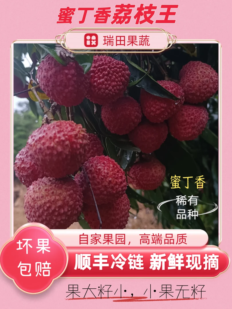 顺丰包邮新鲜应季现摘水果蜜丁香