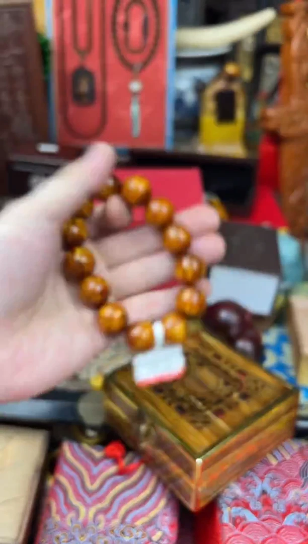 木-------------金海柳1.6