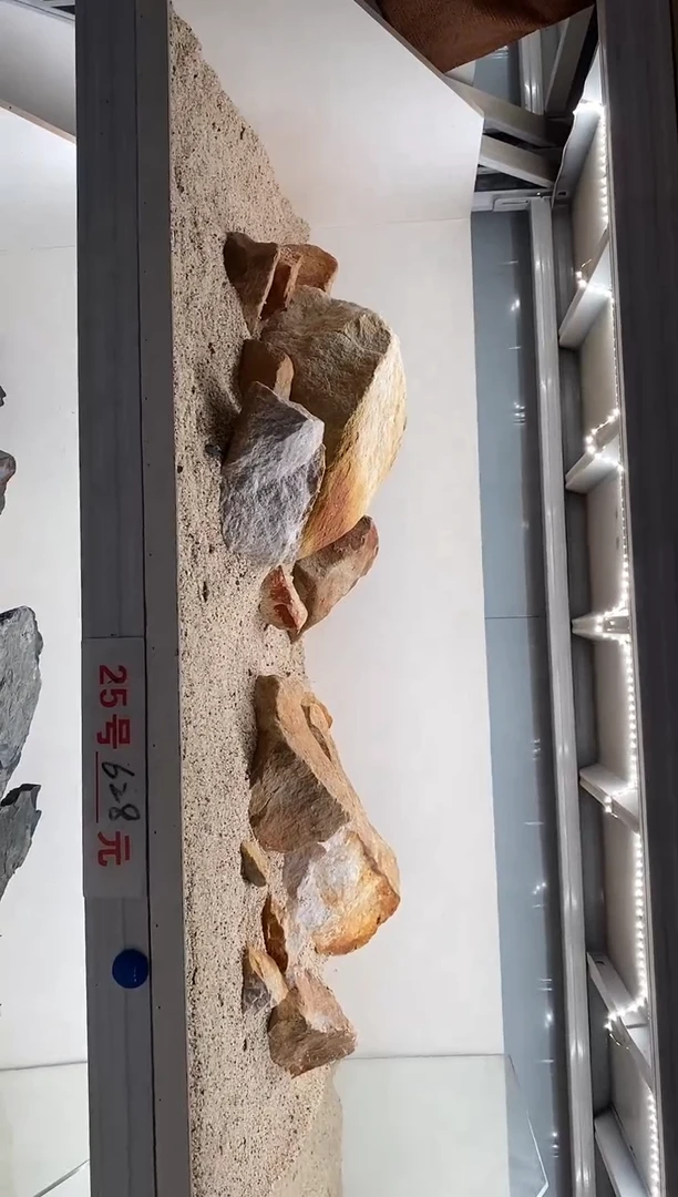 25号鱼然造景（不含底砂）