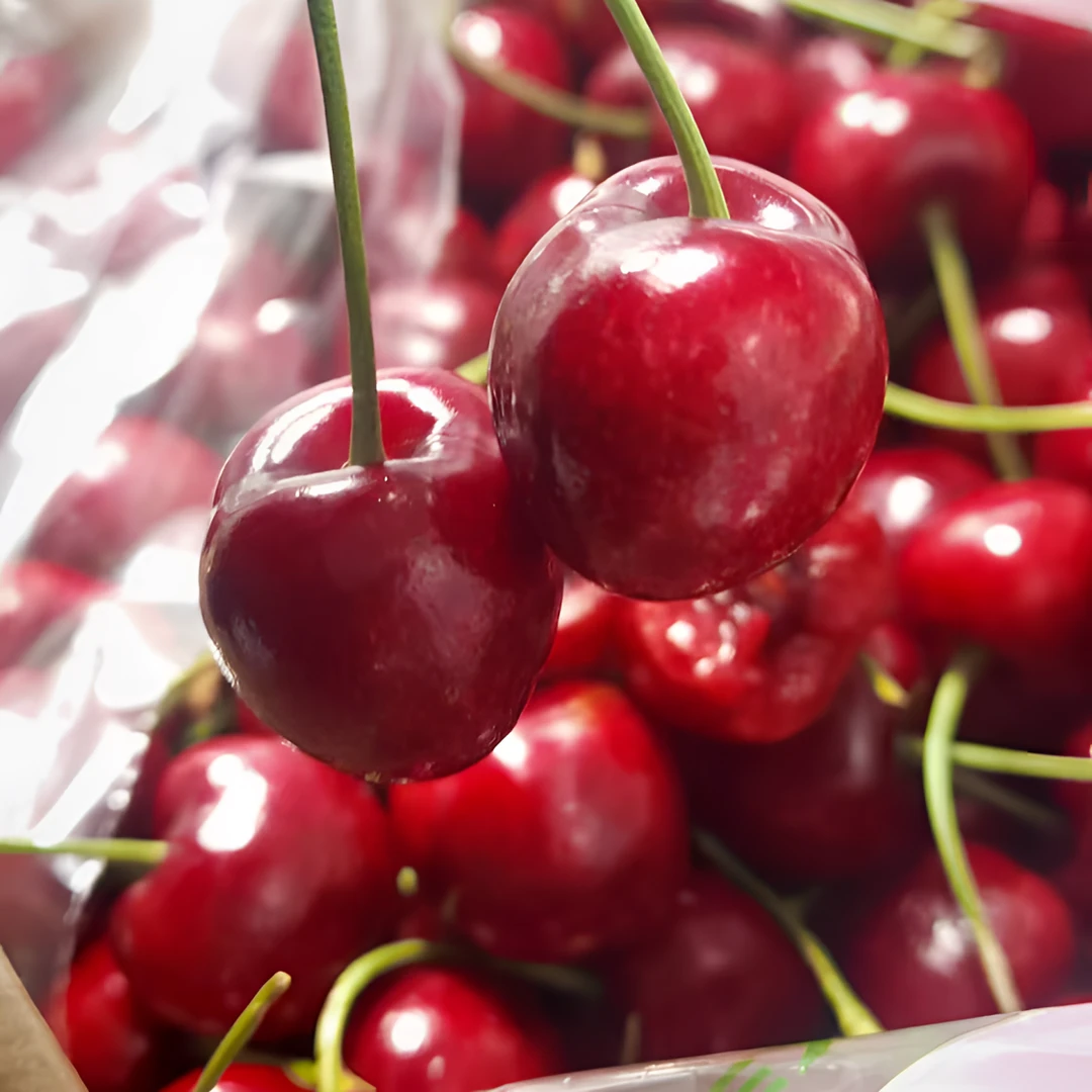 甜樱花【拉宾斯】车厘子2J&3J五斤脆甜