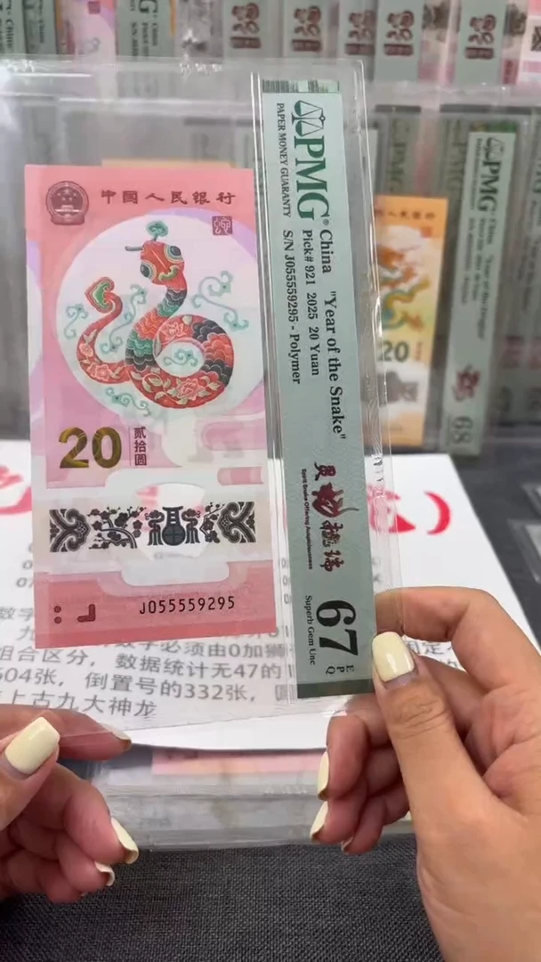 塑料蛇钞pmg055559295福利T