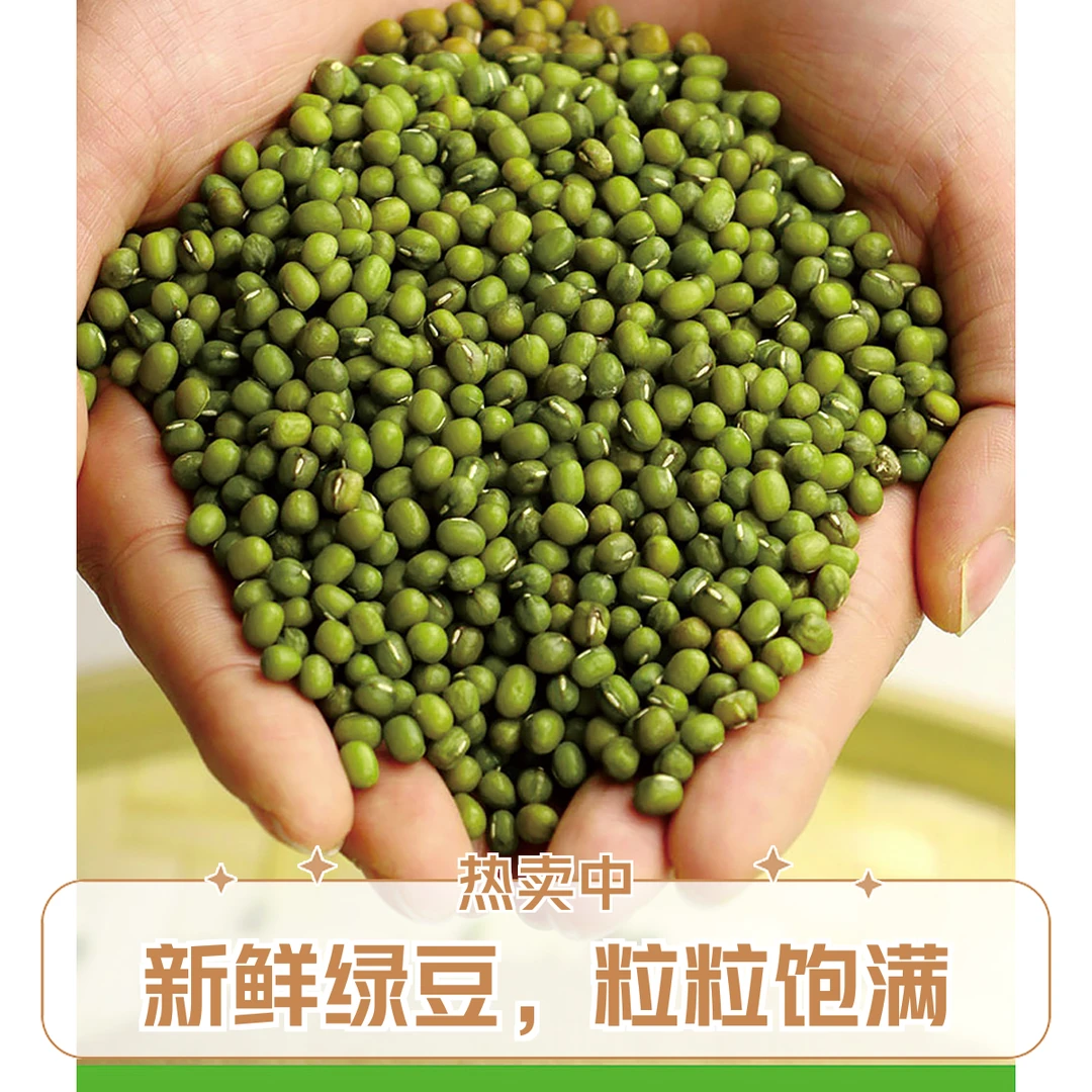 【贾建东专享】新货农家自产新绿豆500g山货薄皮绿豆熬粥煲汤包邮