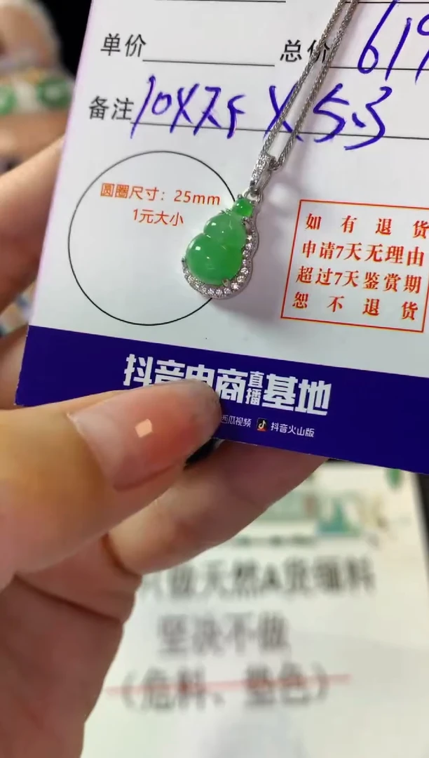 翡翠银S925镶嵌颈饰翡翠