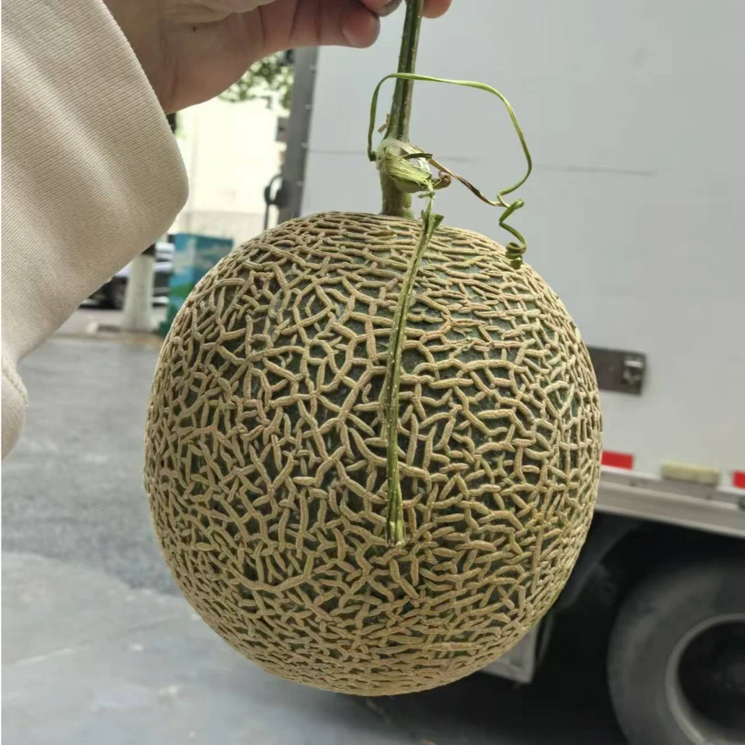 （外卖秒杀)牛3网纹哈密瓜1个（约2斤）（放一下，软了更好吃）