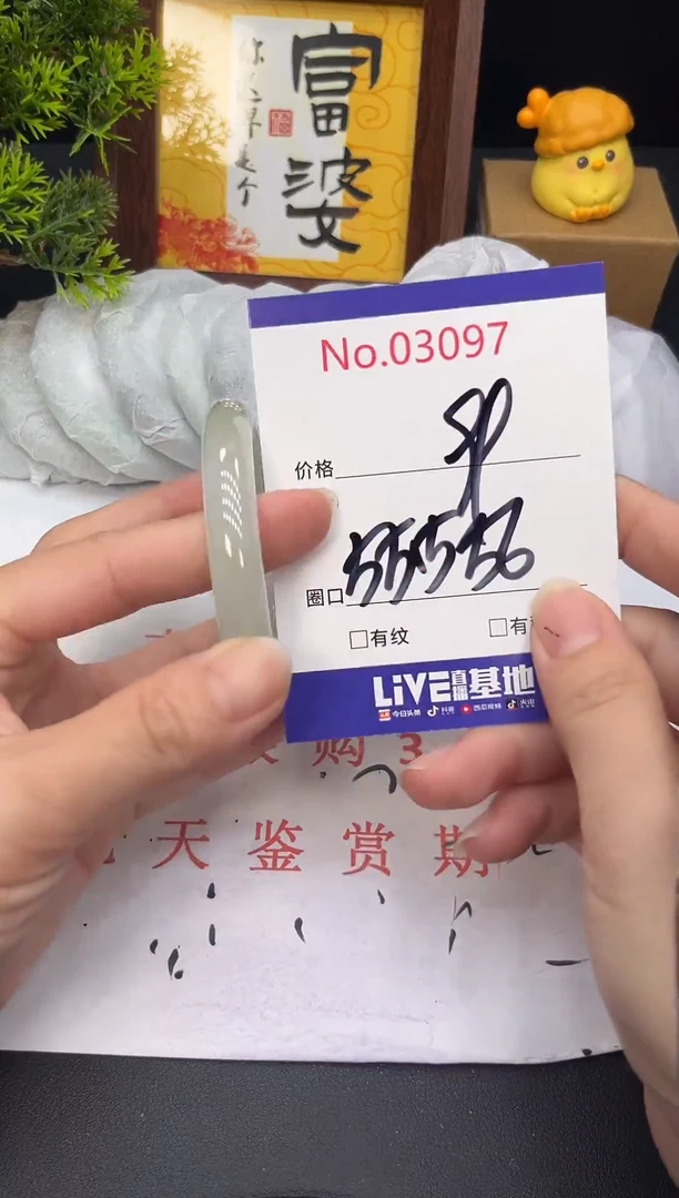 未镶嵌手镯翡翠3097