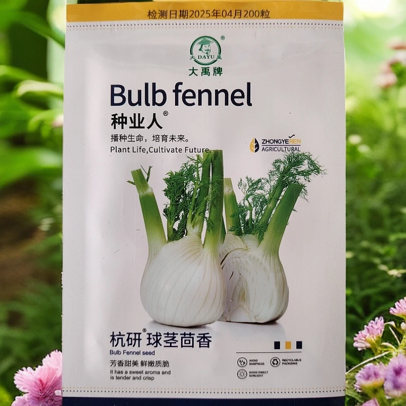 球茎茴香籽150粒左右