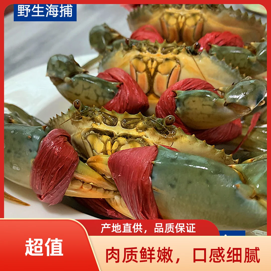 福建红树林红膏鲟青蟹鲜活包膏公母蟹顺丰活发