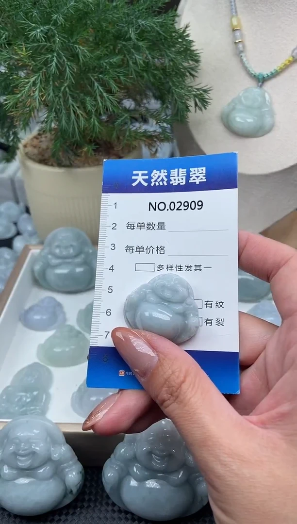 颈饰未镶嵌翡翠纯天然A货翡翠2909