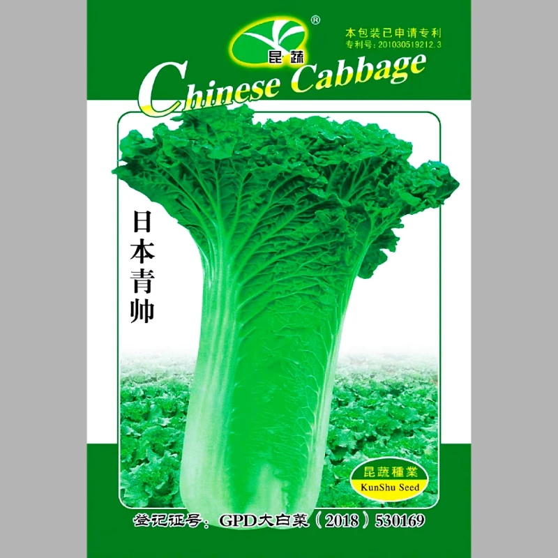 青帅大白菜种子 产量高青麻叶种子 高帮菜 白菜种子 昆蔬日本青帅