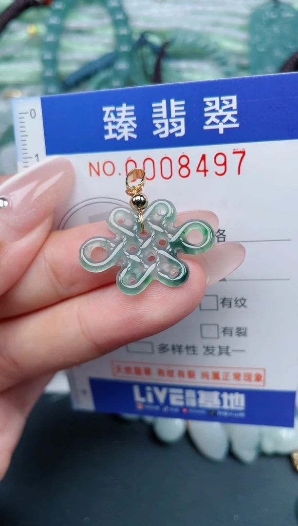 翡翠未镶嵌颈饰.0008497