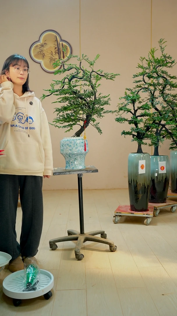 以实际为准咋*【广东小叶紫檀】落地高端盆景绿植四季常青常绿