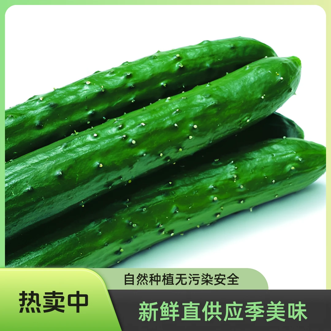 博士农场新鲜现摘现发自然成熟绿黄瓜1000g