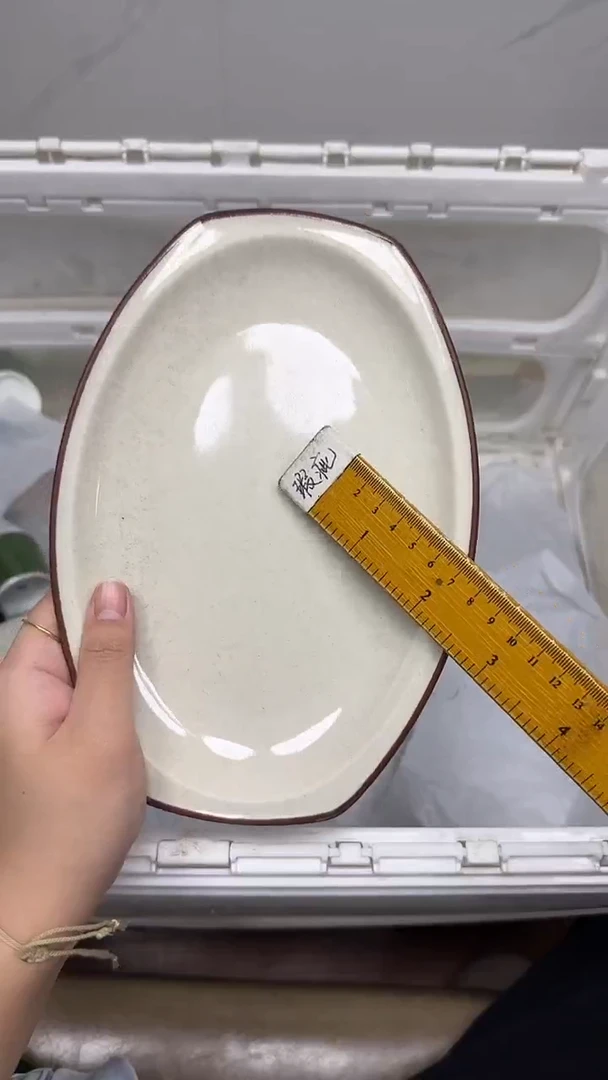 【闪购商品】557回流瓷器默认微瑕，18.8包邮