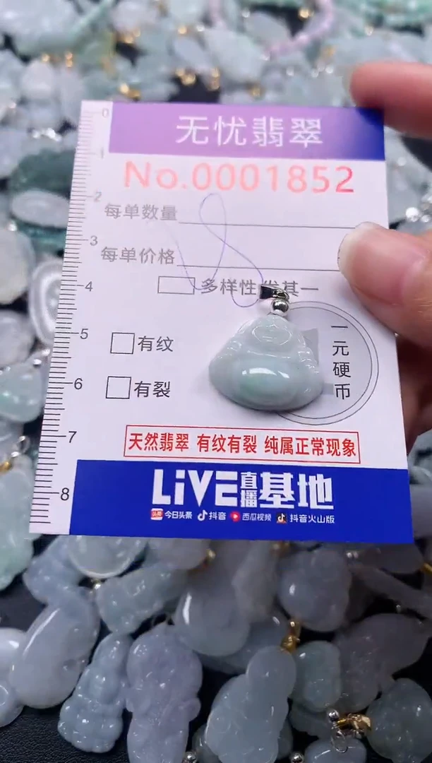 颈饰未镶嵌翡翠1852