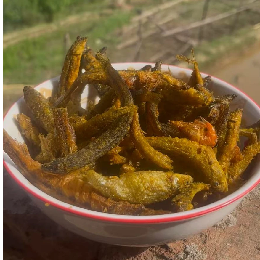 农家天然美味野生小河鱼