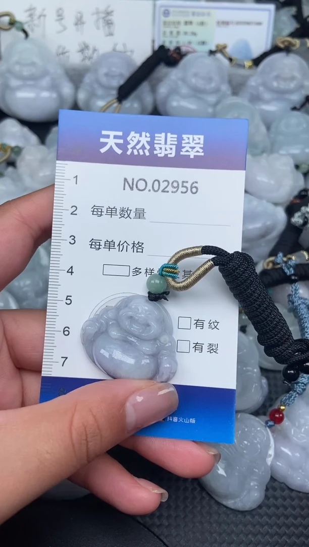 颈饰未镶嵌翡翠纯天然A货翡翠2951