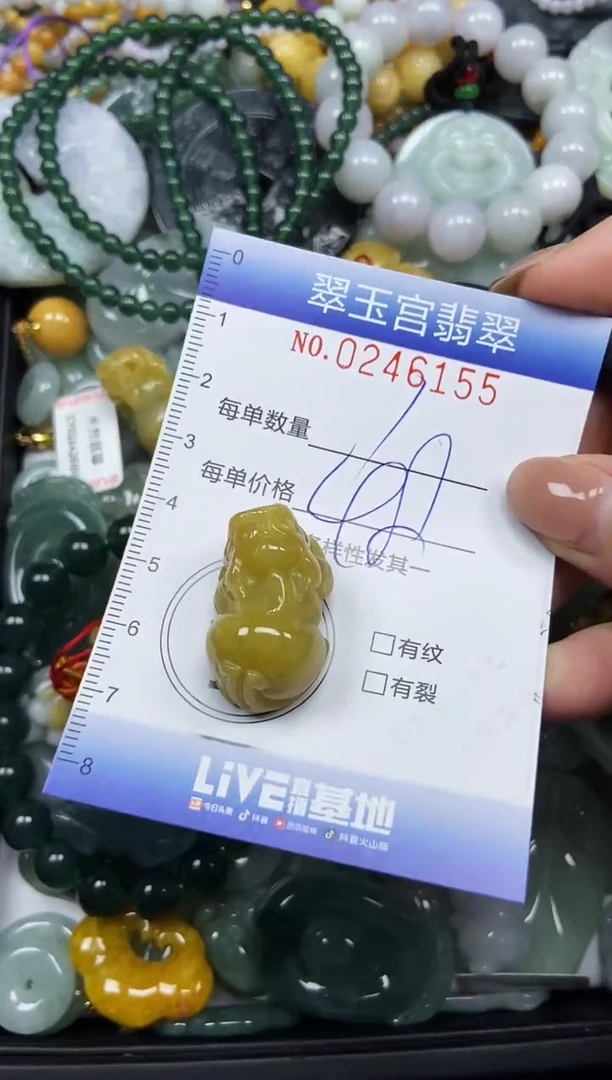 颈饰未镶嵌翡翠闪购C0246155
