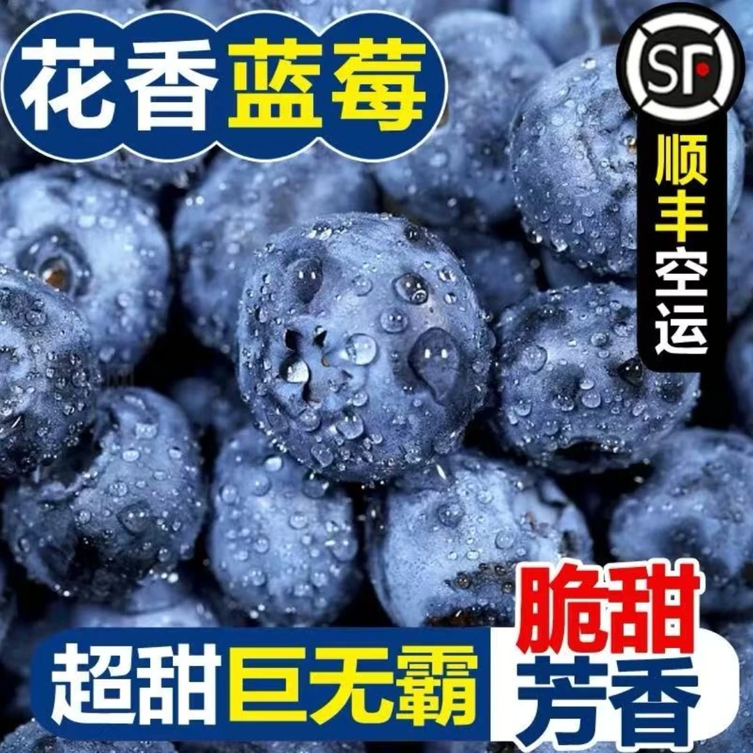 L25云南花香蓝莓当季鲜果现摘现发脆甜多汁顺丰空运