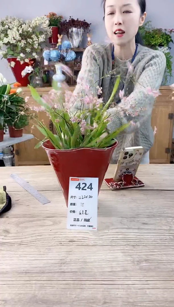 小玩子花盆直播号424