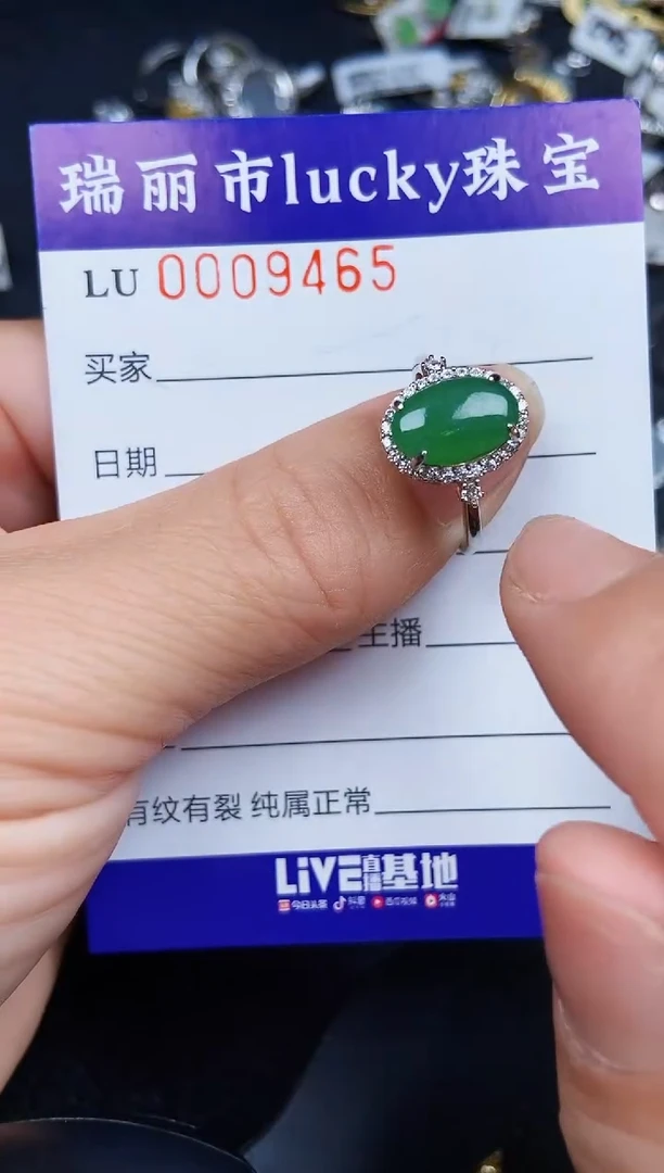 翡翠银S925镶嵌颈饰9465