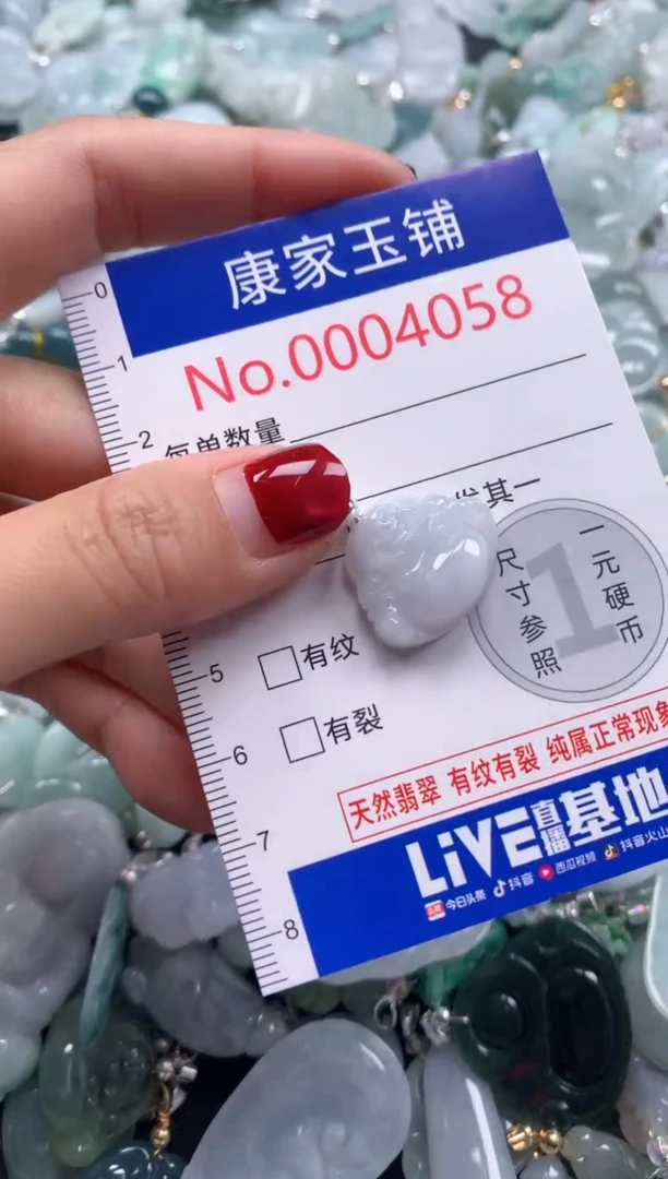 颈饰未镶嵌翡翠4058