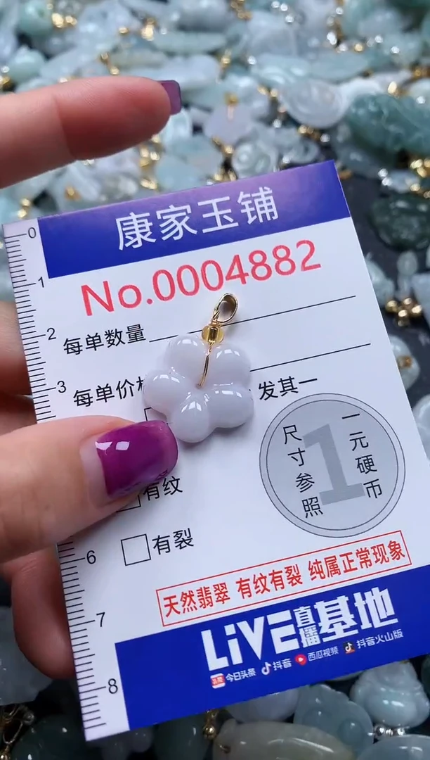 颈饰未镶嵌翡翠4882