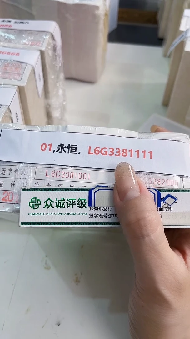 01,永恒，L6G3381111