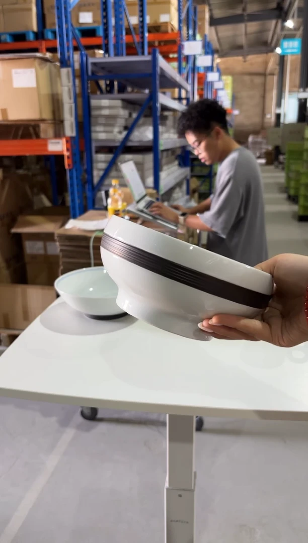 玻璃纸微瑕白山　すみのわ　６寸浅めん丼