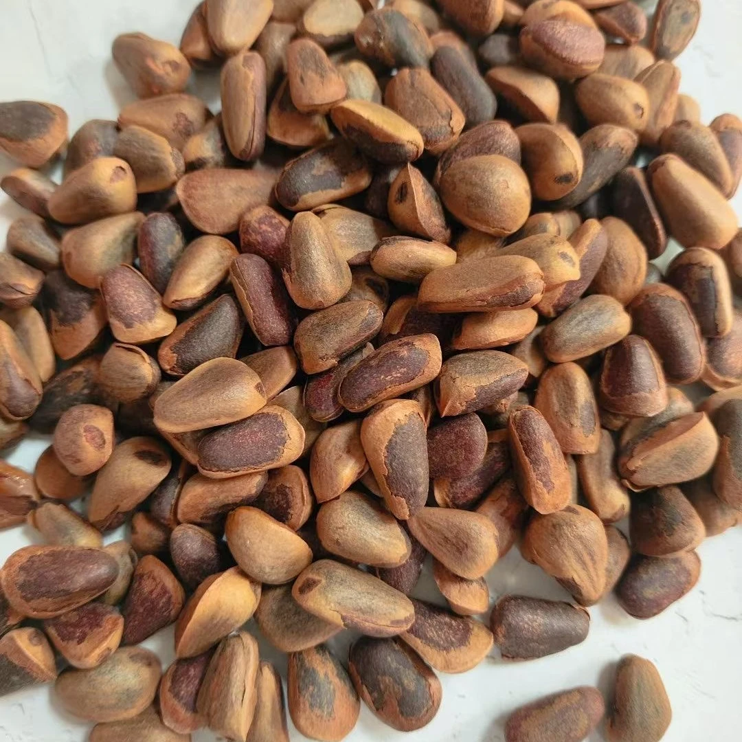 开口松子 大颗粒开口即食营养美味一斤850粒