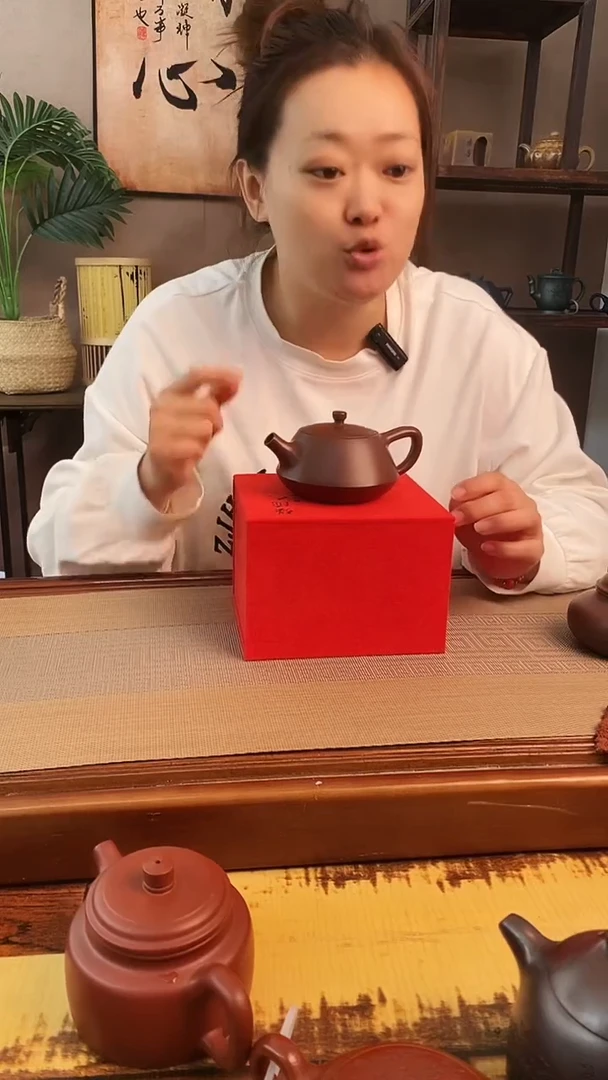 茶壶紫砂紫泥光素石瓢【雪】