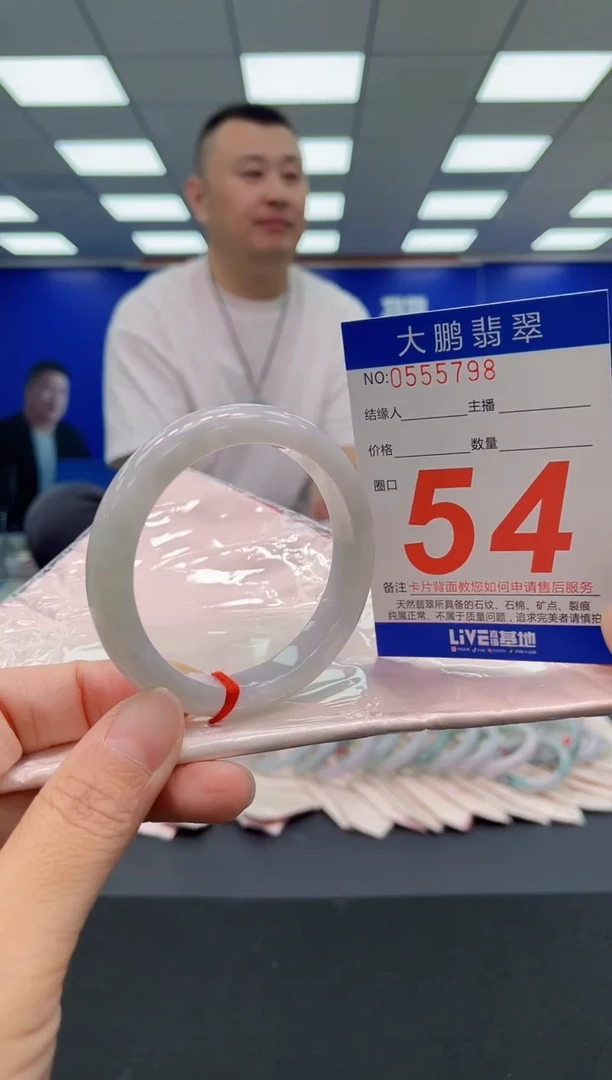 未镶嵌手镯翡翠AAAAAAAAA