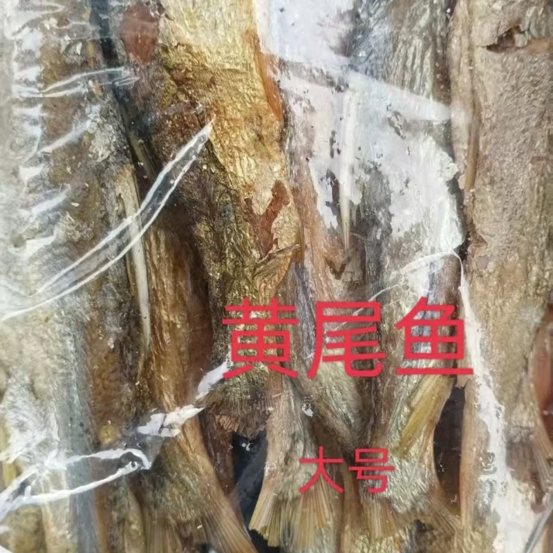 攸县本地小虾米、麻嫩子鱼、黄尾鱼、兰仓鱼生鲜食品