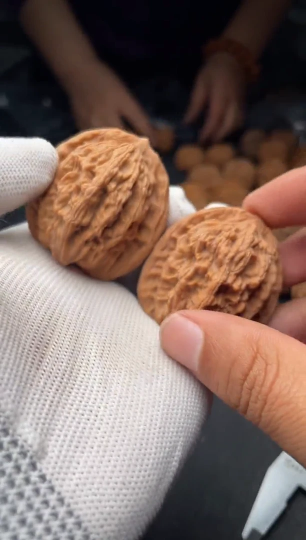 核桃a160  麦虎   42尺