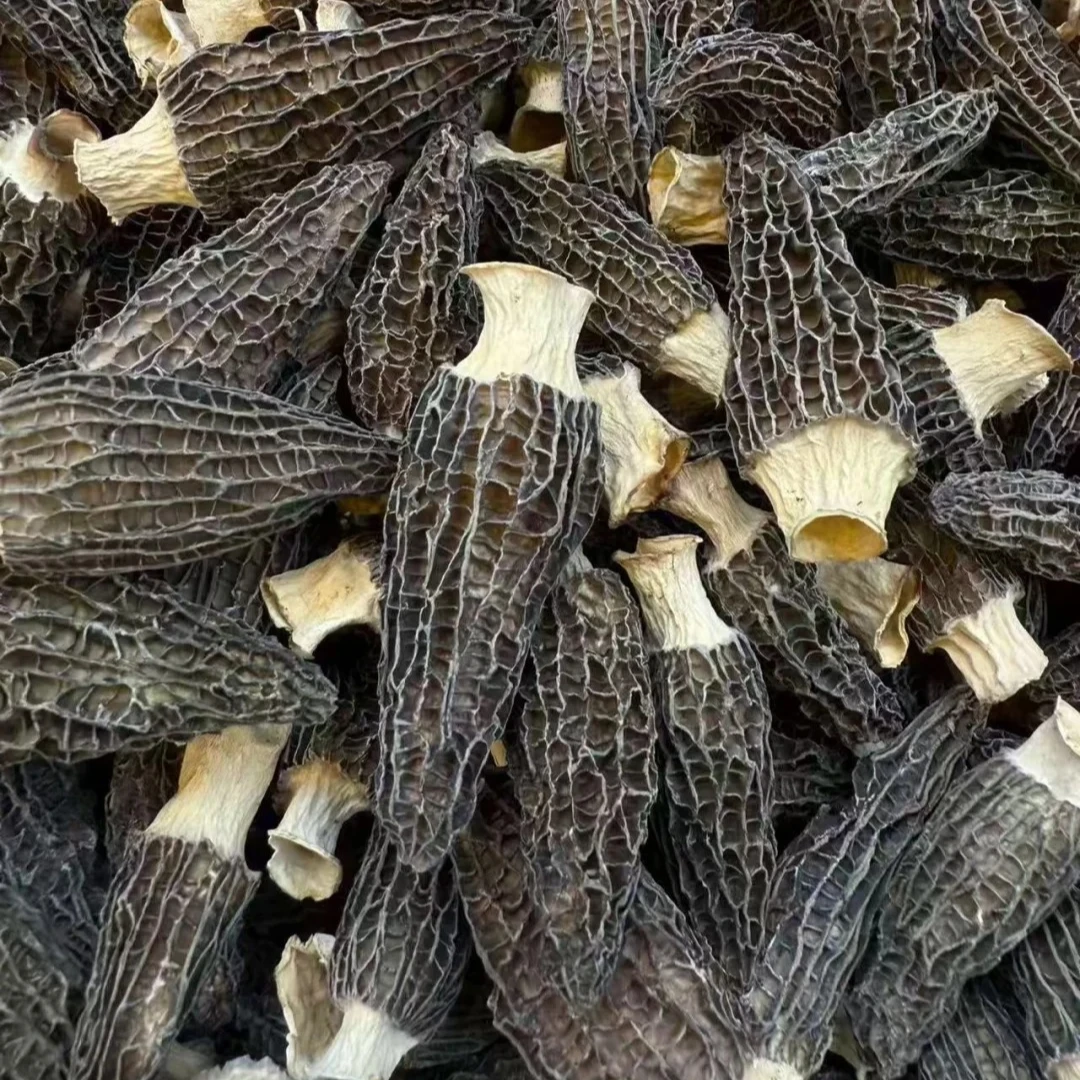 头茬厚饱满羊肚菌干货无硫剪脚煲汤食材