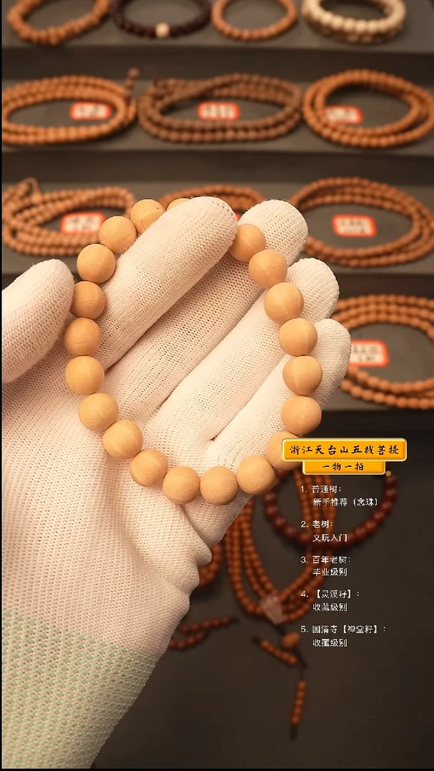 吊坠五线菩提手串